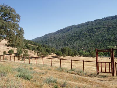wideviewofARK2000