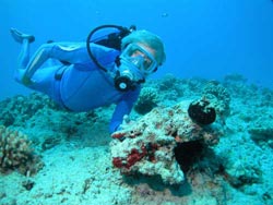 Jean-Michel Cousteau