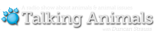 Talking Animals